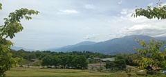 IMG_20230526_121814