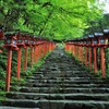 緑の貴船神社参道