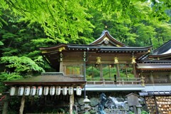 緑の貴船神社本殿