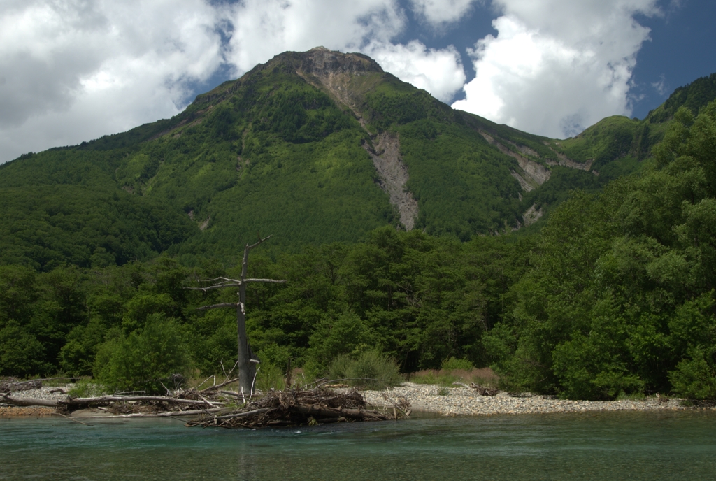 夏山 2