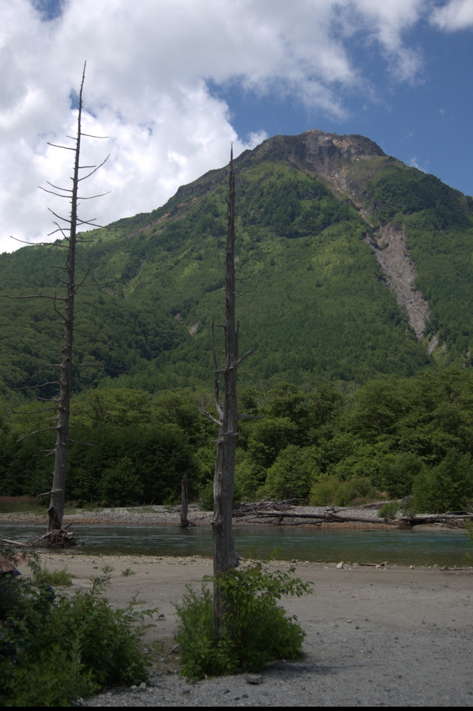 夏山１