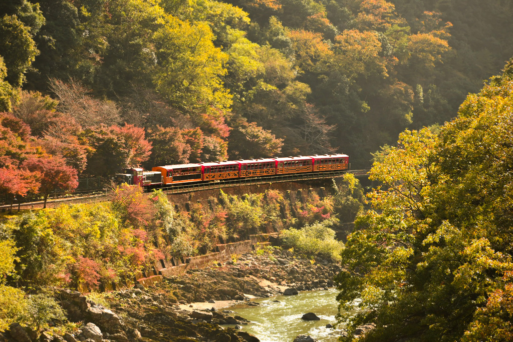 から紅に染まるまでもう少し