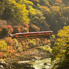 から紅に染まるまでもう少し