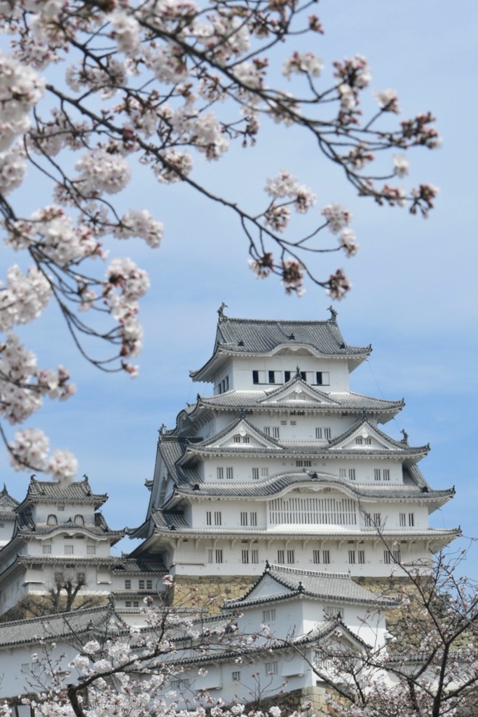 桜満開の姫路城