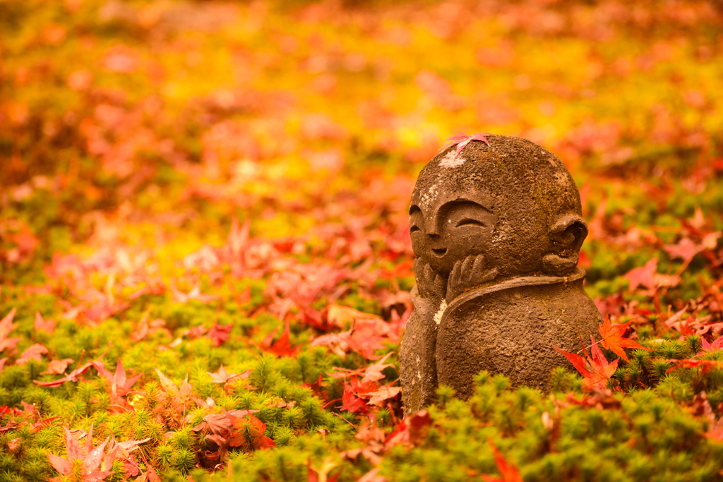 圓光寺のお地蔵様