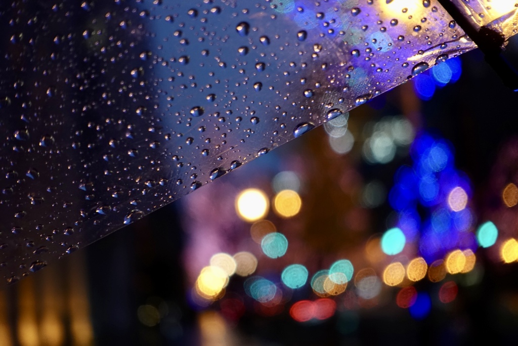 雨の日の淀屋橋