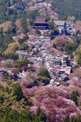 世界遺産吉野山