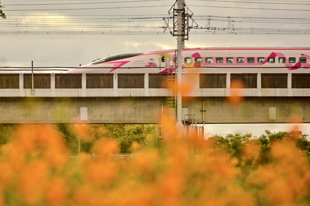 ハローキティ500系