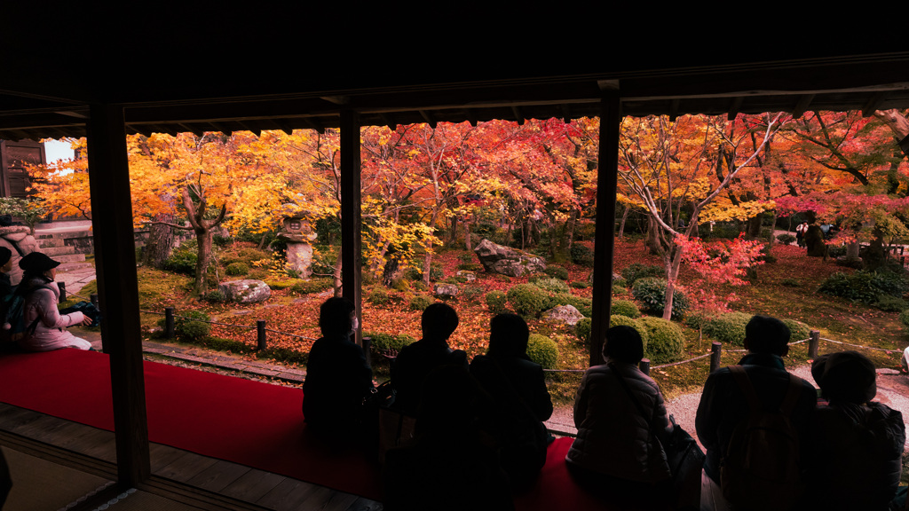 圓光寺の紅葉