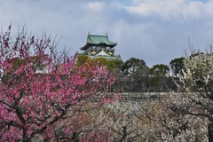 燃ゆる大阪城