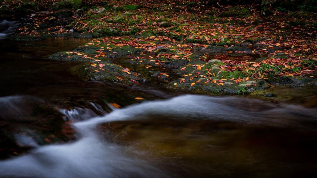 渓流と時の流れ-紅葉-