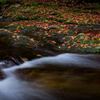渓流と時の流れ-紅葉-