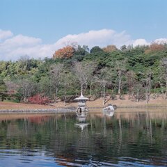 心字池雪見灯篭