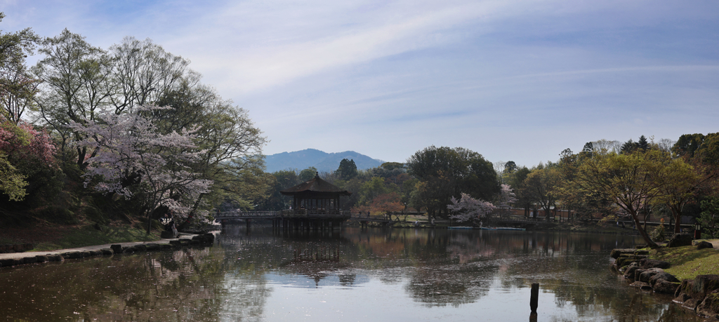 パノラマin奈良公園