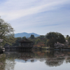 パノラマin奈良公園