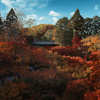 東福寺の通天橋から