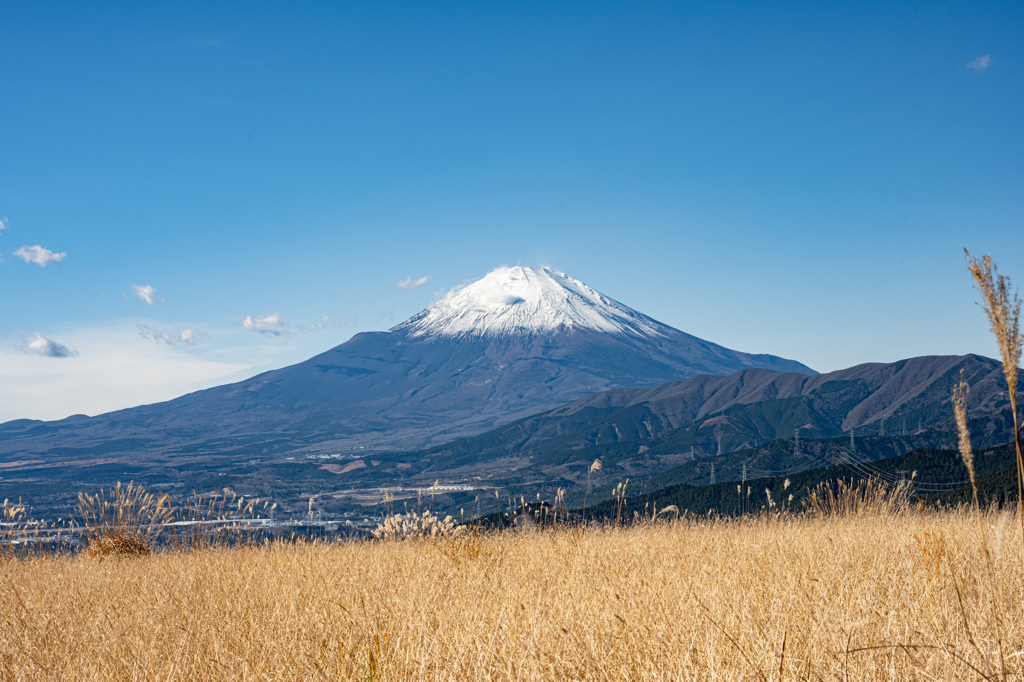 大野山から見た富士山