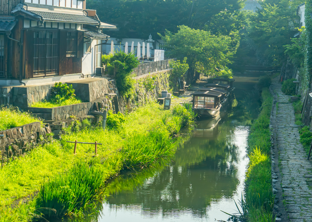 早朝の八幡掘り２