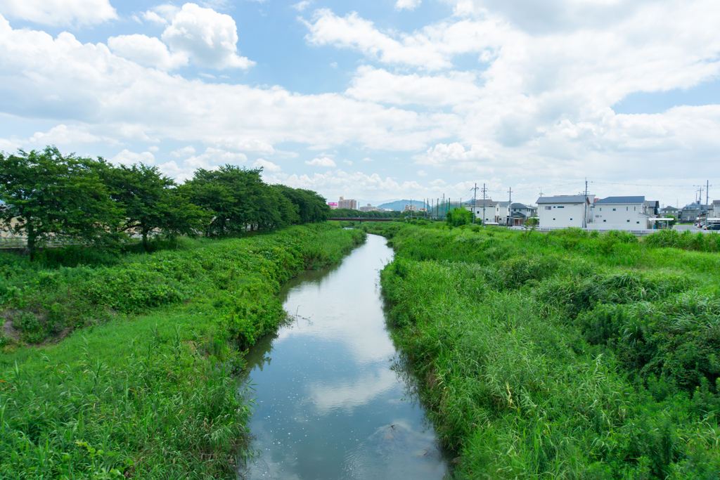 家の隣から続く白鳥川