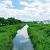 家の隣から続く白鳥川