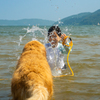 子供たちの水遊び