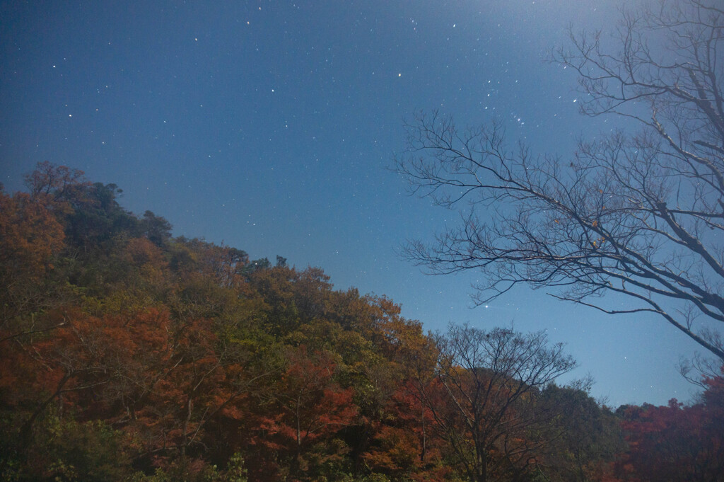 近江八幡の夜空