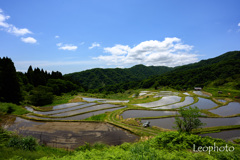 上世屋の棚田2