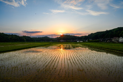 夕日を辿る