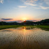 夕日を辿る