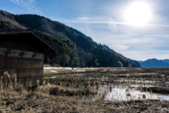 観察小屋と湿地