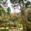 如意寺　ツツジ寺