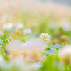 早朝の目覚め