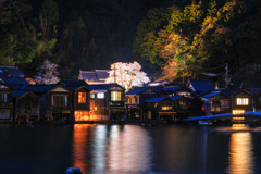伊根-海蔵寺-ライトアップ
