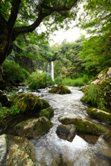 八反の滝手持ち