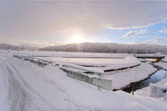 通勤途中の雪景色
