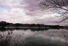 昆陽池の静寂