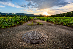 畦道から見える景色