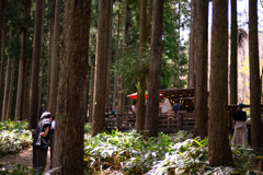 森カフェ