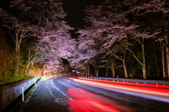 光跡
