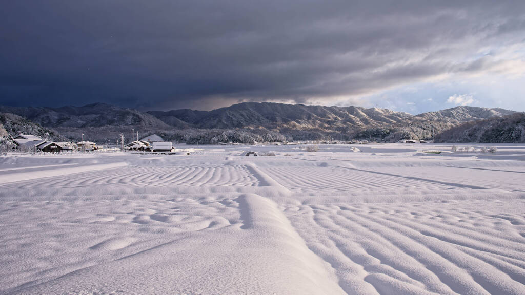 スノーフィールド