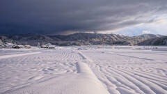 スノーフィールド