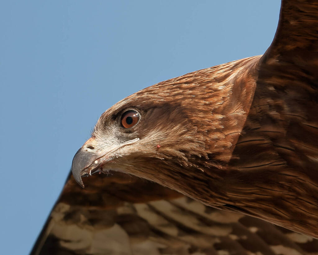 至近距離でガチピンGET