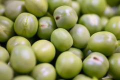豆ごはんの季節