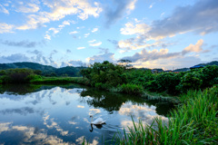 離れ湖の朝