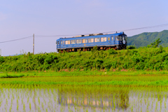 田園を走る青松号