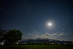 白昼夜