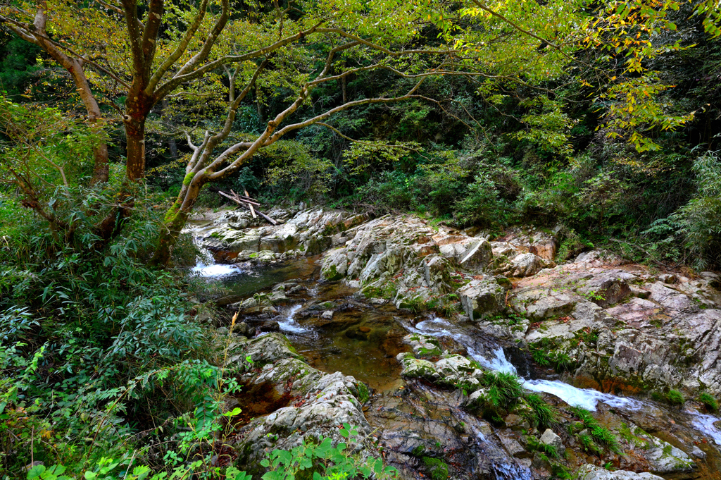 日高に残る原風景