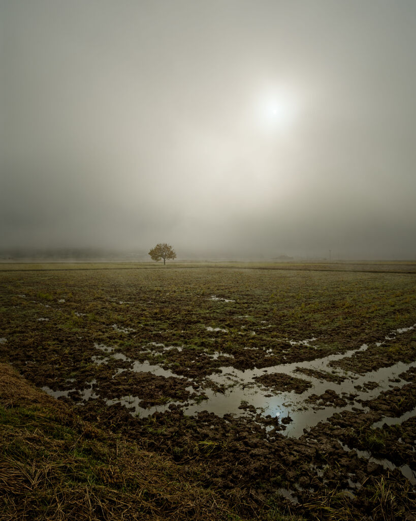 在り続けること