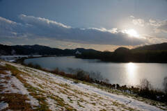 ひょっこりはん