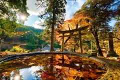 落葉と乙女神社